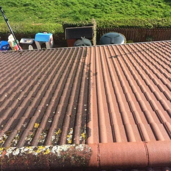 TNT Exterior Cleaning Services