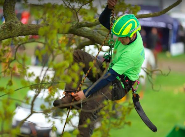 Ascent Tree Solutions LTD