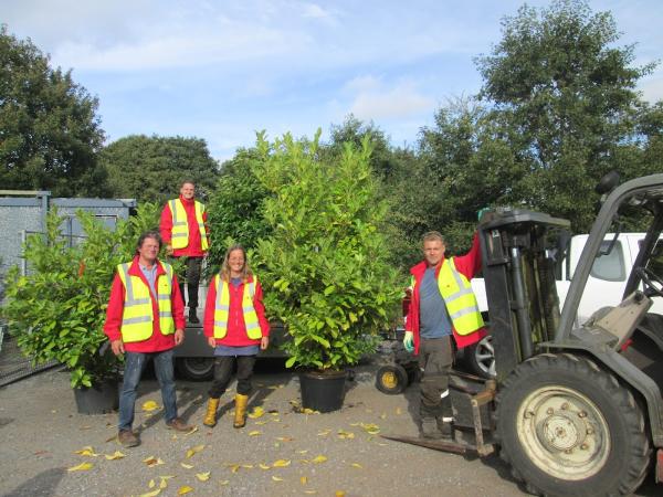 North West Tree Services