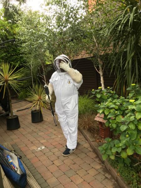 Clear Choice Pest Control Belfast