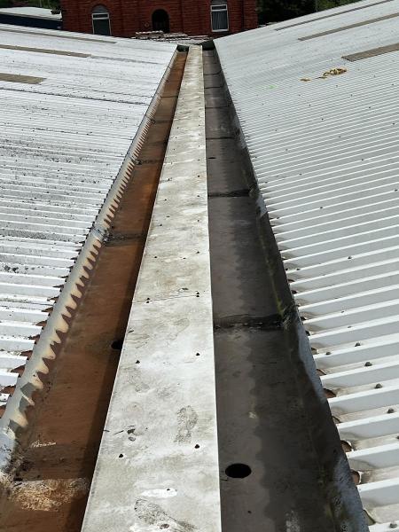 Niklas Window & Gutter Cleaning