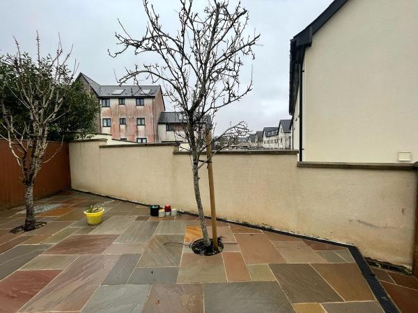 Extreme Exterior Cleaning Services