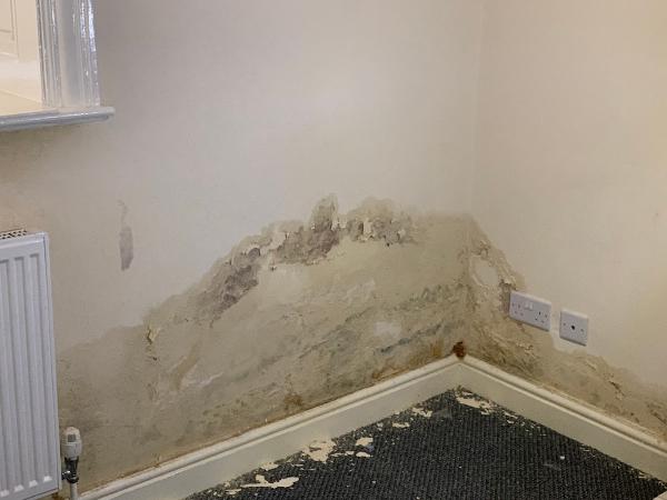 Dorset DPC LTD