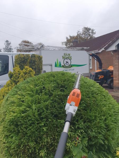 Sam Wass Tree Surgeons