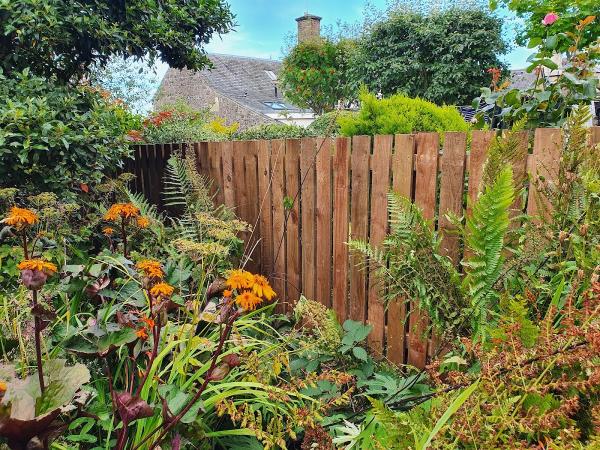 First Class Fencing Ltd