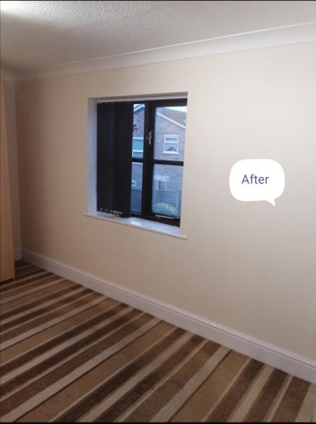 Marks Home Maintenance and Gardening Services