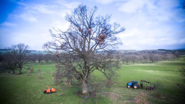 Lowther Forestry Group Ltd