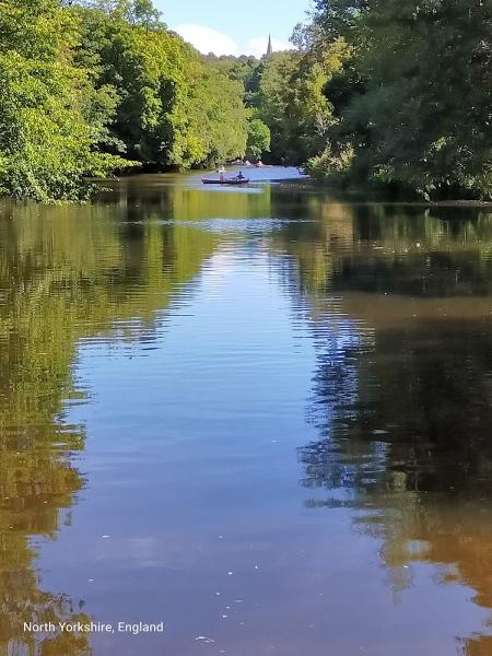 Progress Consulting Ltd