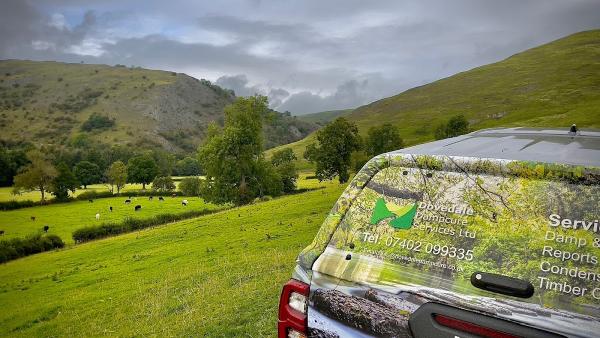 Dovedale Dampcure Services Ltd