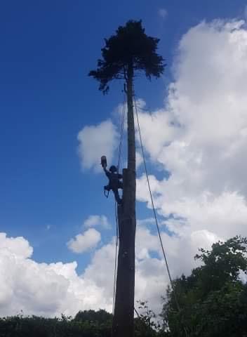 Green Fingers Tree and Gardening Services