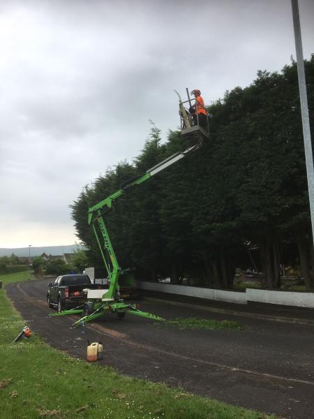 CR Tree Services