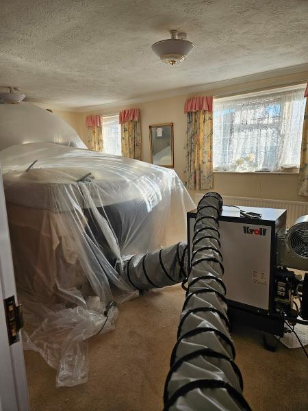 Thermopest Moth Heat Treatment