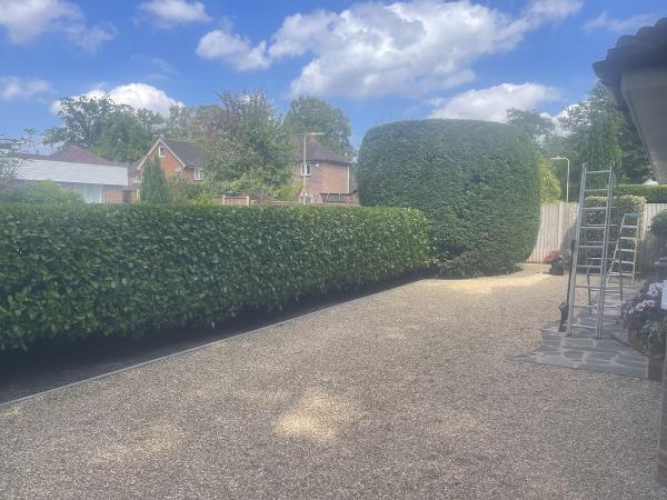 Forever Green Gardening Services Ltd
