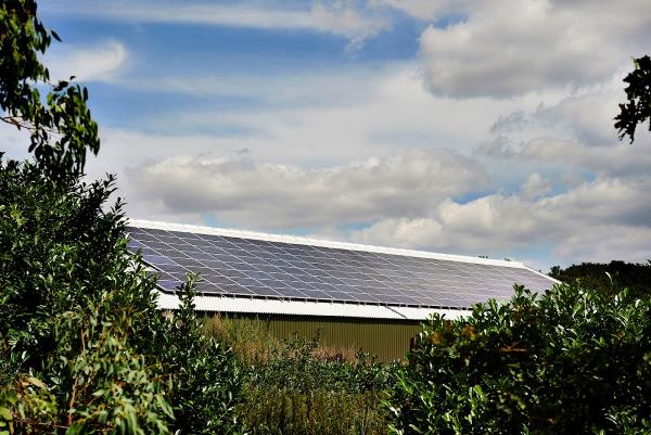 East Green Energy Ltd