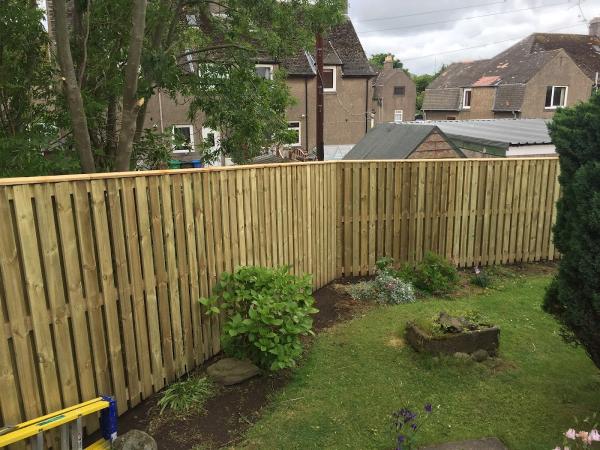 Beechwood Tree Surgery & Fencing