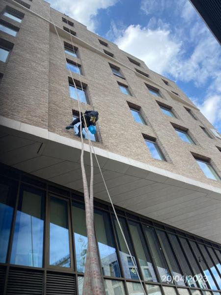 Groves Window Cleaning