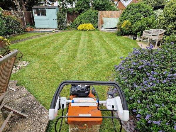 Pauls Lawns : Herne Bay & Whitstable Gardener