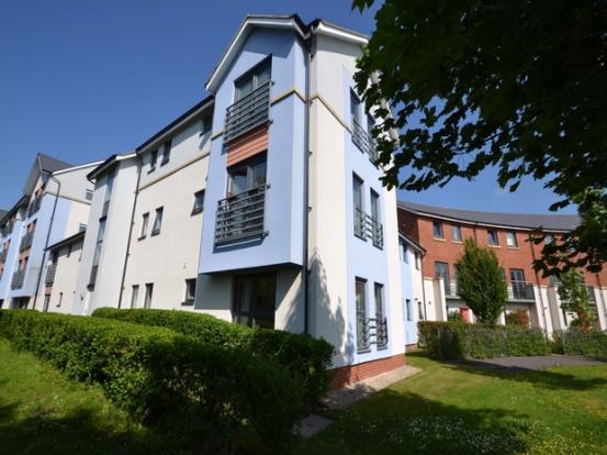 TLS Estate Agents