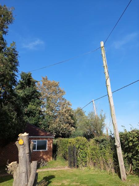 All Seasons Tree Surgery