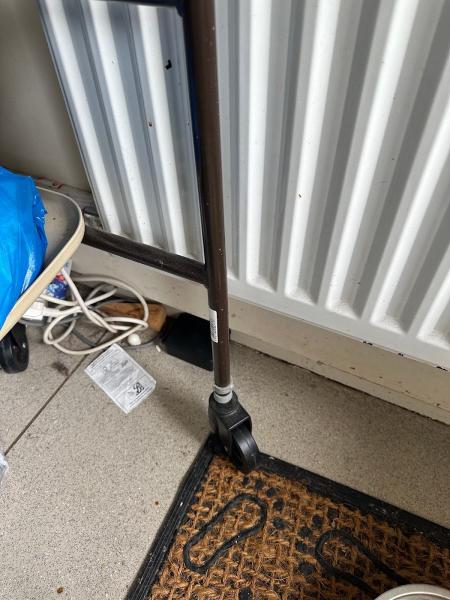 Belfast Pest Control-Low Cost