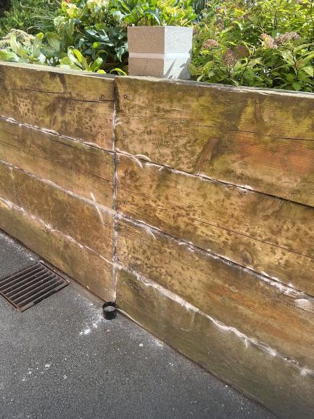 Belfast Pest Control-Low Cost