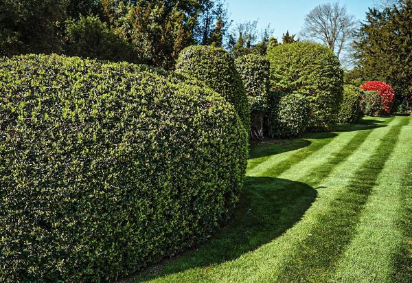 Modern Landscapes LTD