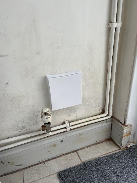 All About Damp Hull