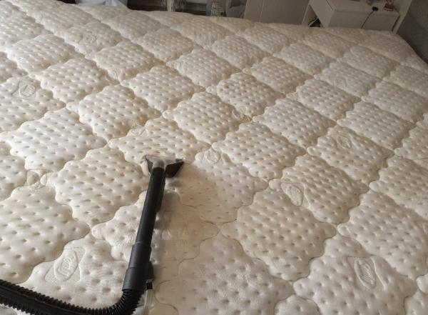 Carpet & Upholstery Cleaners Deep Clean Established 1984
