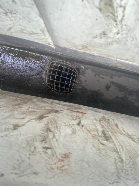 Eclipse Cleaning Contractors