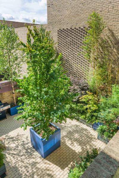 Cultivate Gardens Ltd