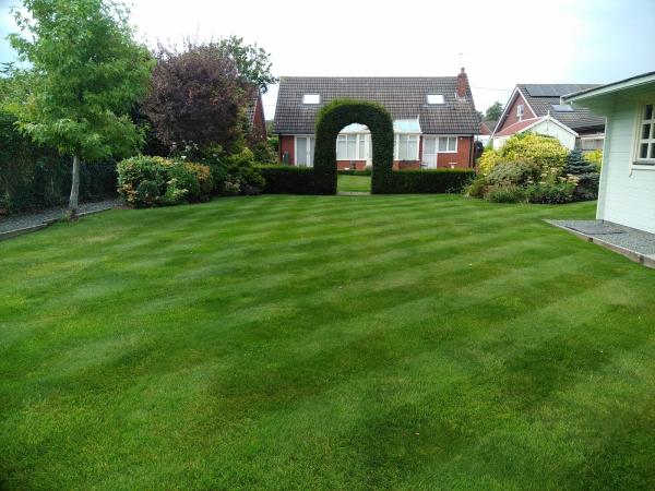 Go Green Lawn Care