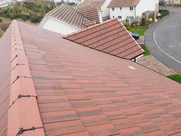 Dalguise Coatings