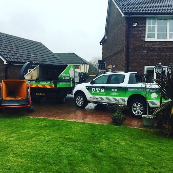 Cantellow Tree Surgery