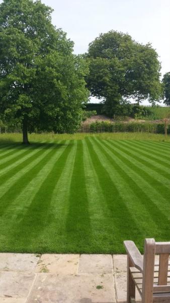 John Newton Gardening and Horticulture Services