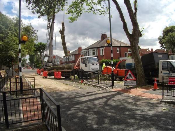Tree Worx Ltd