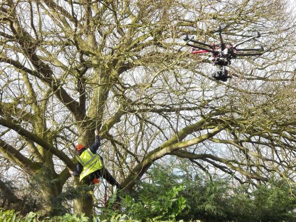 Ryland Horticulture Ltd
