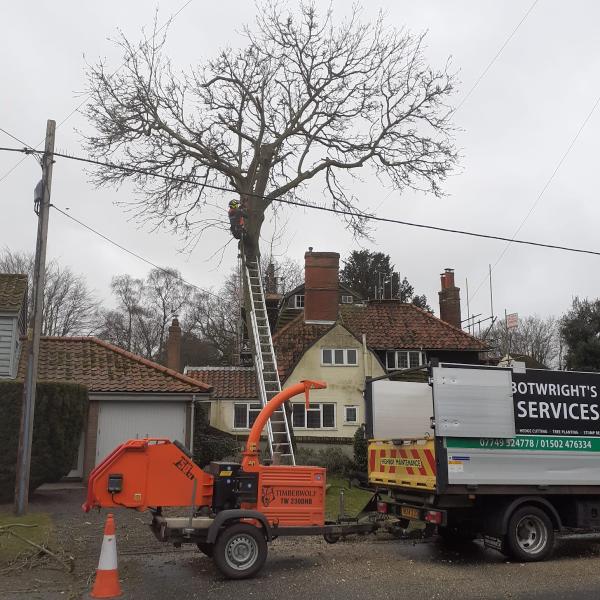 Mark Botwright Tree Services