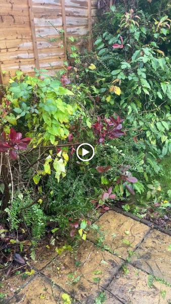 Berkshire Gardening & Design Company