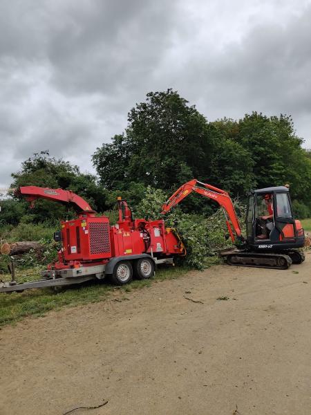 Ollie Morton Tree Care Ltd