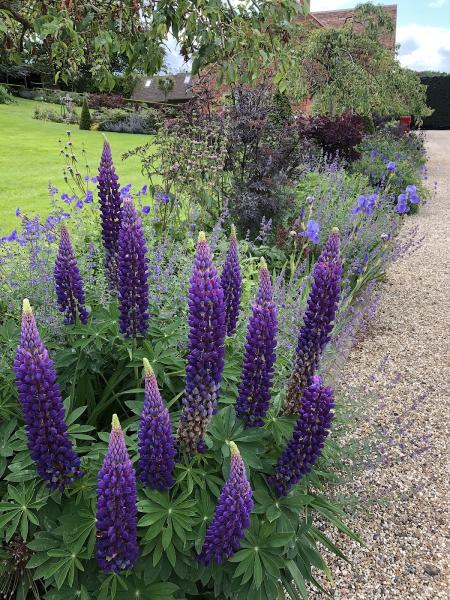 Emma Austin Garden Designs