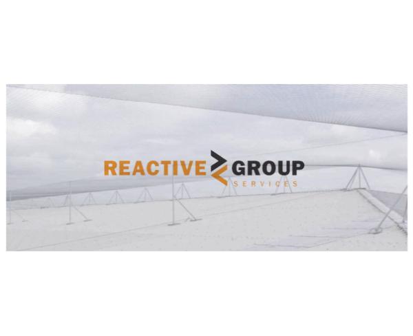 Reactive Group Services
