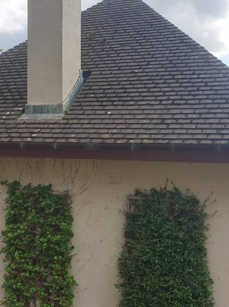 Squeaky Clean Window Cleaning Services
