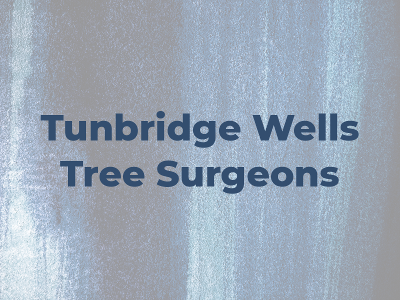 Tunbridge Wells Tree Surgeons