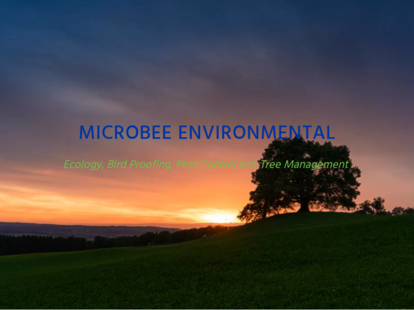 Microbee Environmental