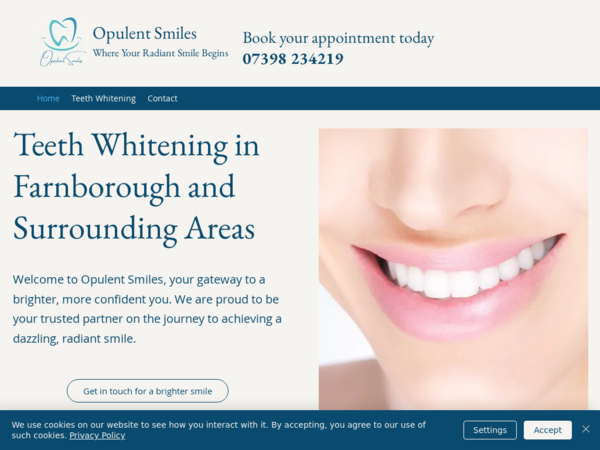 Opulent Smiles