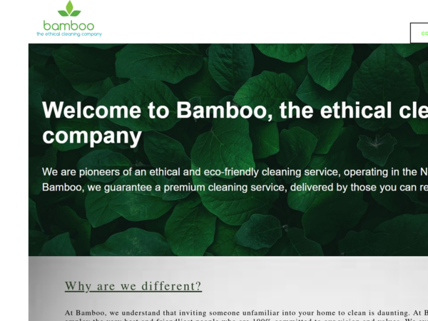 Bamboo Cleaning