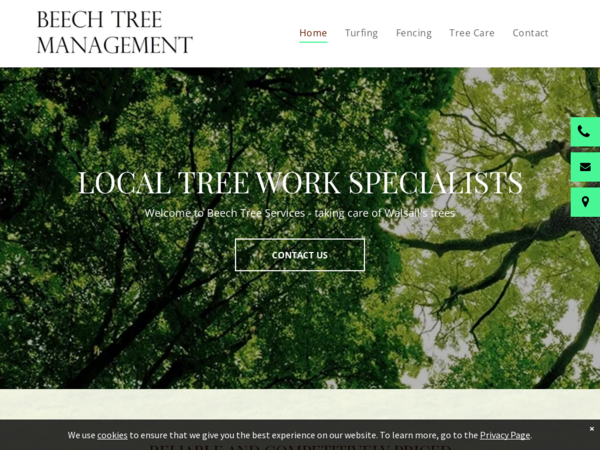 Beech Tree Management