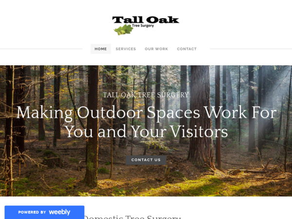Tall Oak Tree Surgery