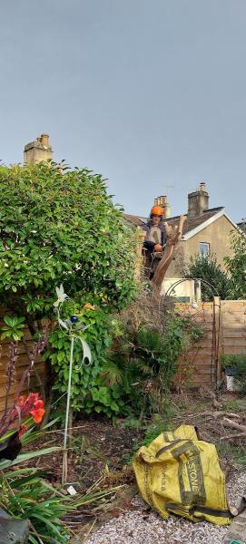 Garden Tidy: Bath/Nailsea/Long Ashton