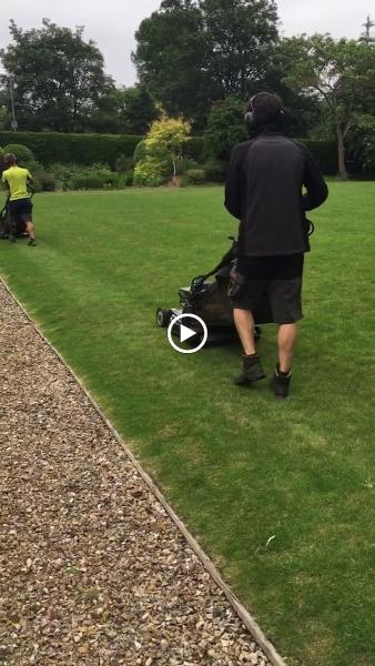 Maple Garden Management